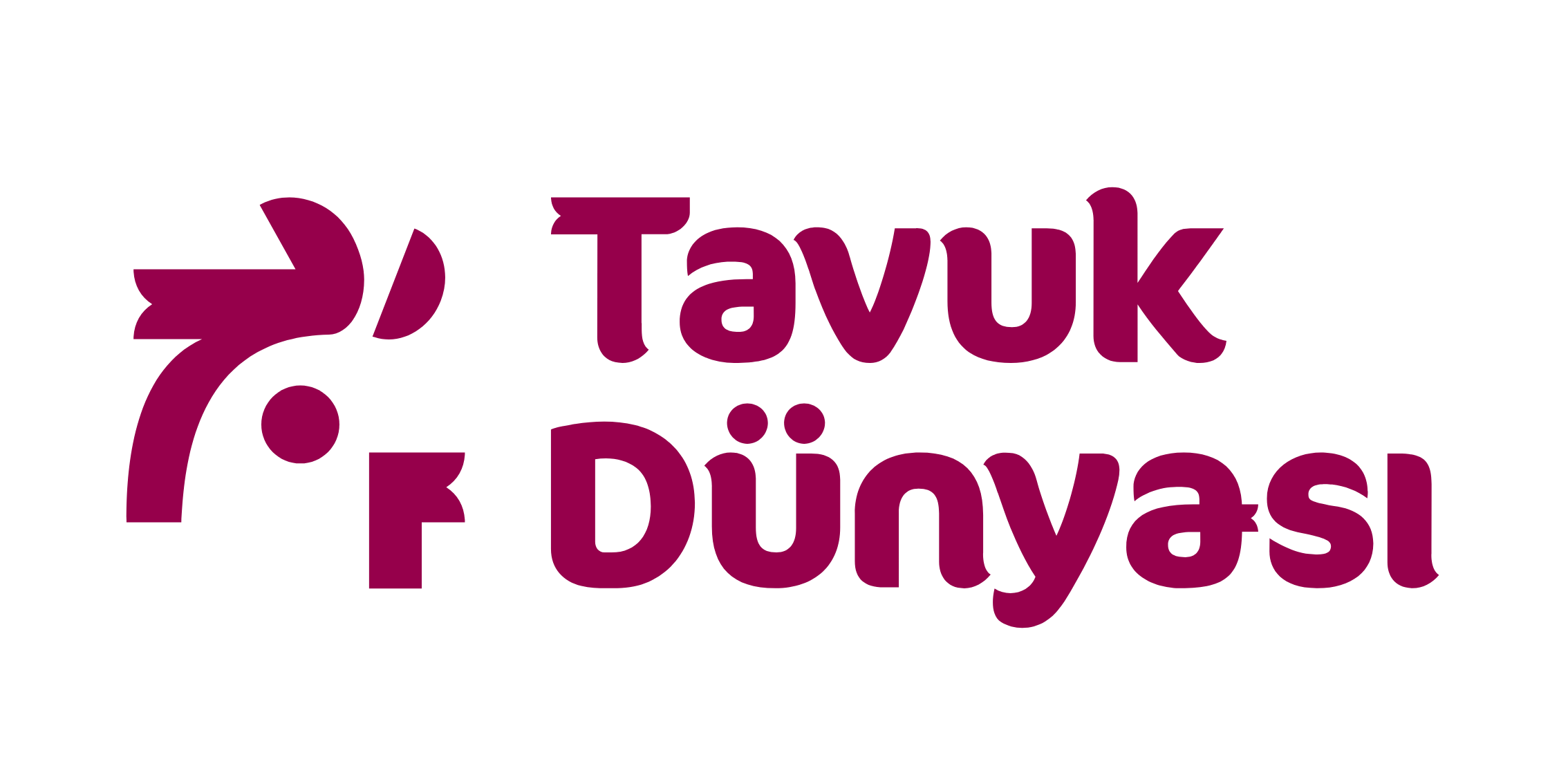 TAVUK DÜNYASI
