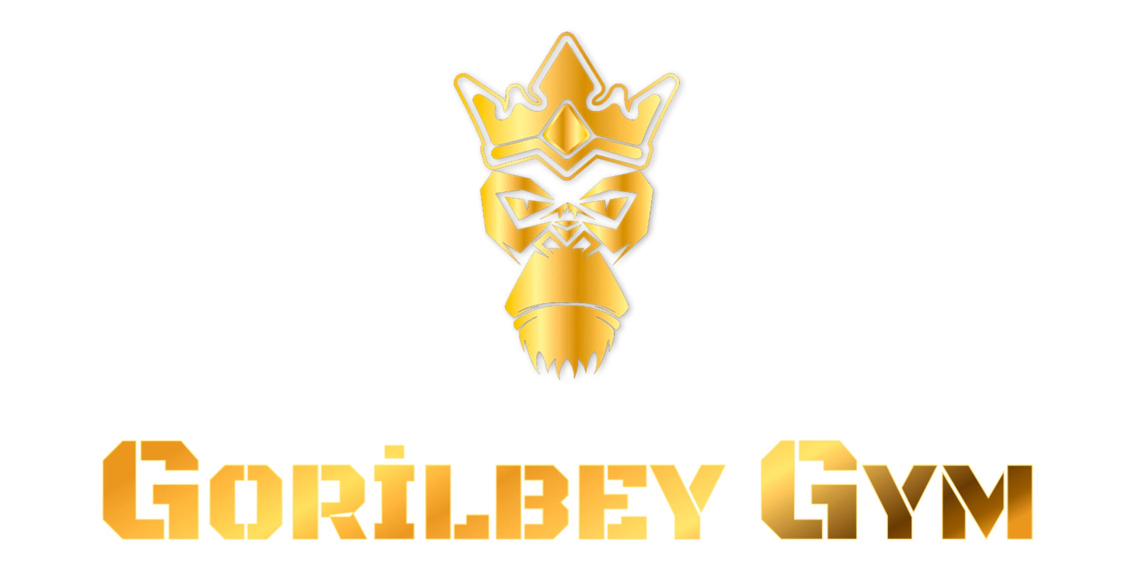GORİLBEY GYM